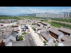 Chinese Traditionele Daktegels voor de Toepassing van de het Dakreparatie van de Binnenplaatstempel